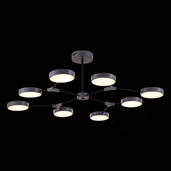 Потолочный светильник Evoluce Monta SLE6003-702-08