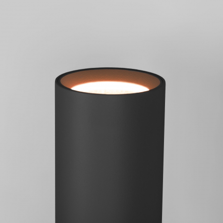 Elektrostandard 4690389189081