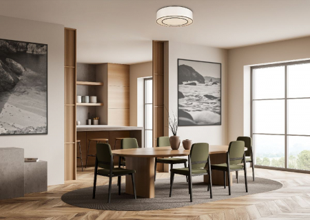 Maytoni MOD613CL-03W