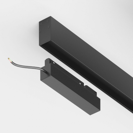 Maytoni TRX010DR2-100B