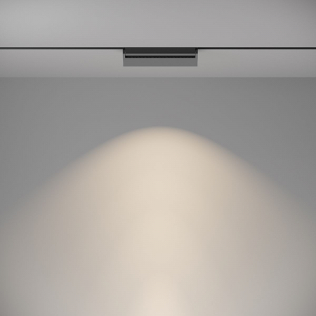 Maytoni TR075-2-20W4K-B