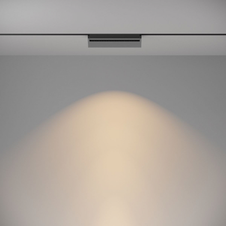 Maytoni TR075-2-20W3K-B