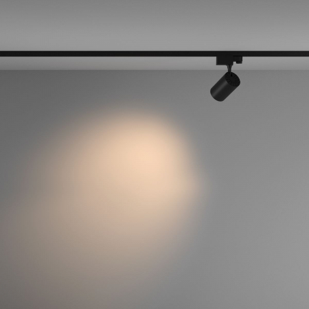 Maytoni TR029-3-10W3K-M-B