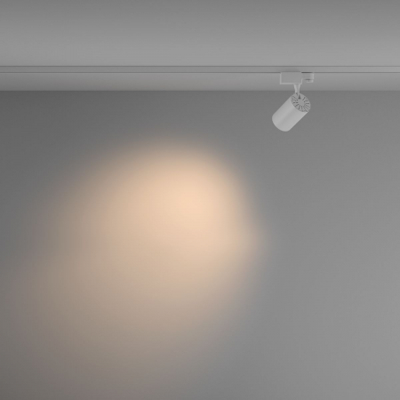 Maytoni TR029-3-10W3K-M-W