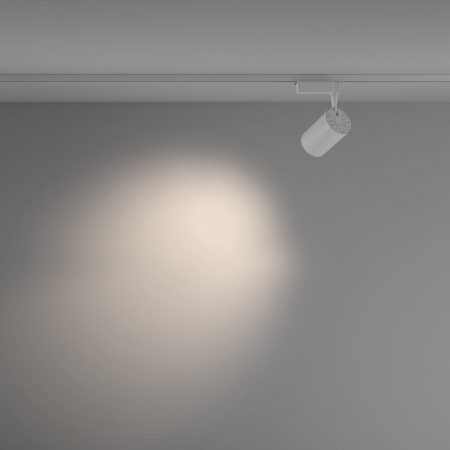 Maytoni TR003-1-26W4K-M-W