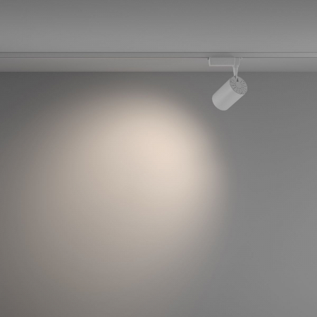 Maytoni TR003-1-26W4K-W-W