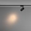 Maytoni TR003-1-36W3K-S-B