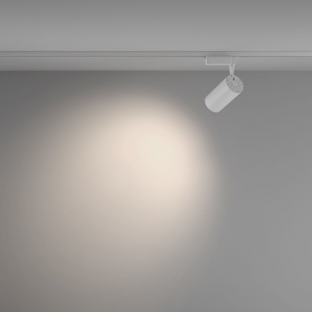 Maytoni TR003-1-36W4K-W-W