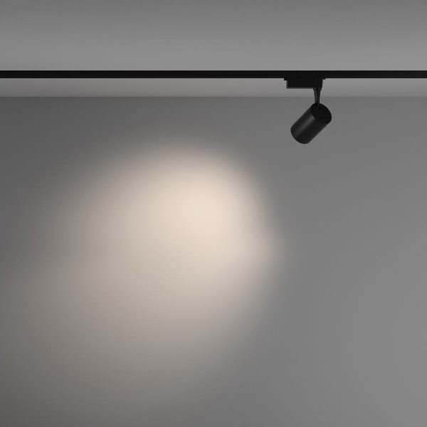 Трековый светильник Maytoni Technical Vuoro TR003-1-10W4K-M-B