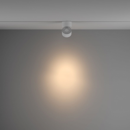 Maytoni TR084-1-15W3K-W