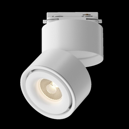 Maytoni TR084-1-15W3K-W