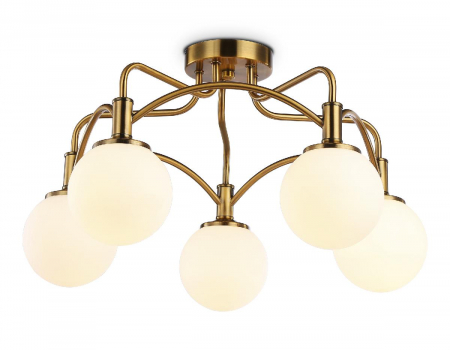 Ambrella Light TR3212