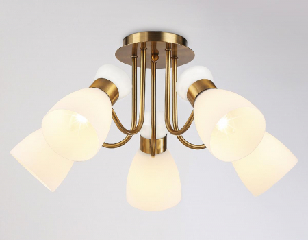 Ambrella Light TR3218