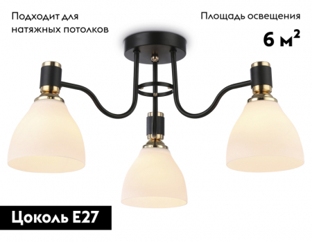 Ambrella Light TR303303