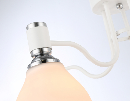 Ambrella Light TR303305