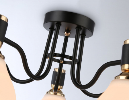 Ambrella Light TR303307