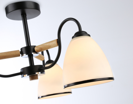 Ambrella Light TR3033241