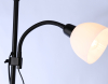 Ambrella Light TR97629