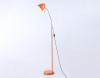 Ambrella Light TR97689