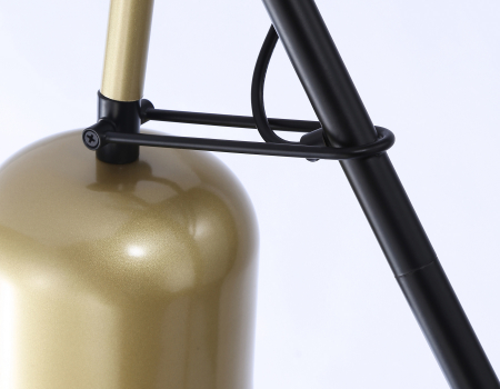 Ambrella Light TR97125