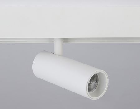 Ambrella Light GL3819