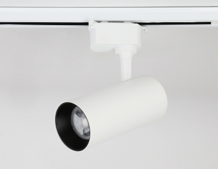 Ambrella Light GL5821