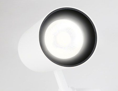 Ambrella Light GL5821