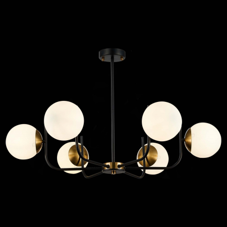 Evoluce SLE1098-402-06