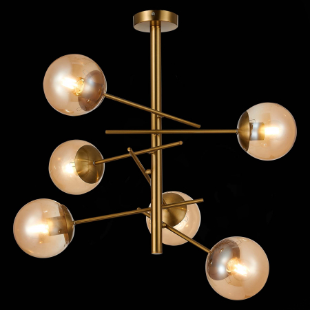 Evoluce SLE1099-312-06