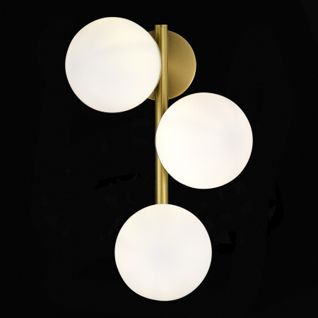 Evoluce SLE1191-201-03