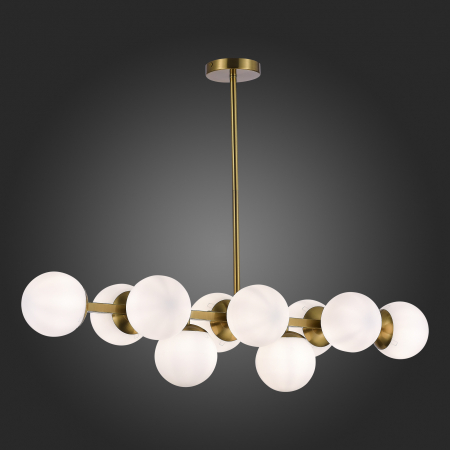 Evoluce SLE1191-202-10