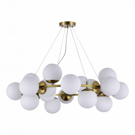 Evoluce SLE1191-203-20