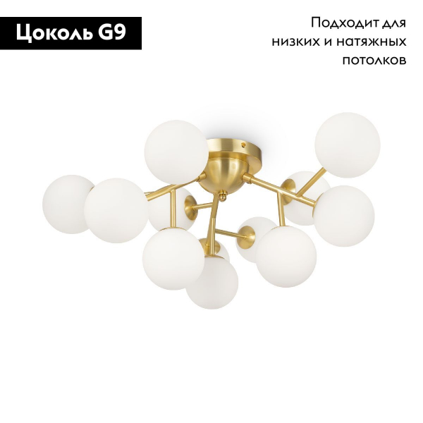 Потолочная люстра Maytoni Dallas MOD545CL-12BS