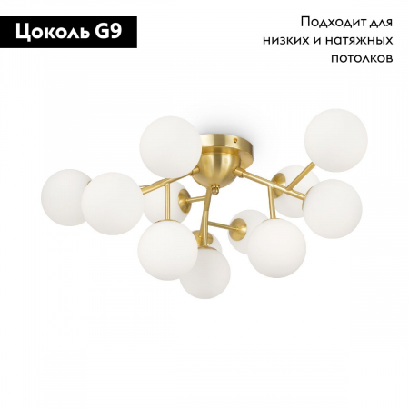 Maytoni MOD545CL-12BS