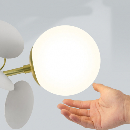 ImperiumLoft 194948-23