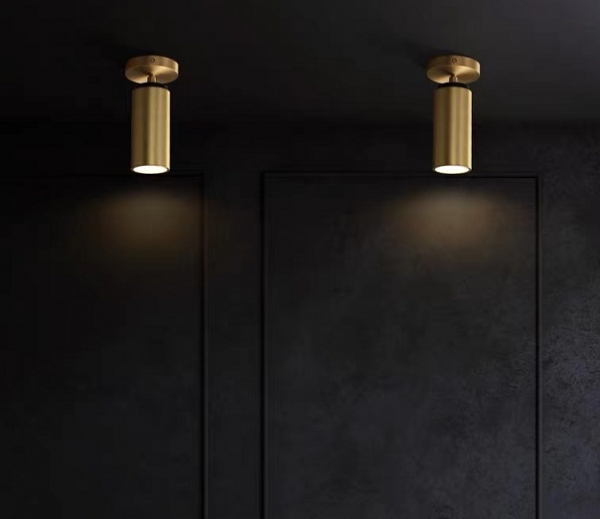 Спот iLamp Plum 8861C BR-BK