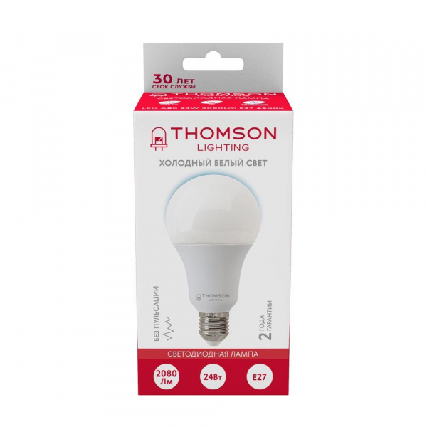Лампа светодиодная Thomson E27 24W 6500K груша матовая TH-B2353