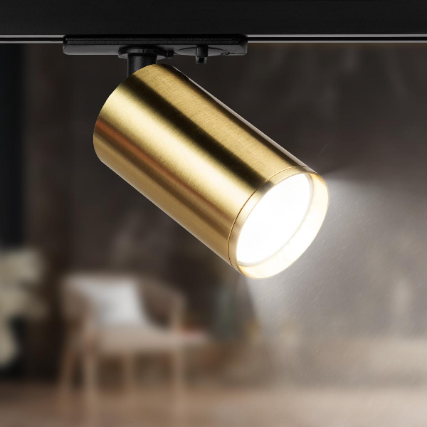 Трековый светильник Эра TR39-GU10 BS Б0053311