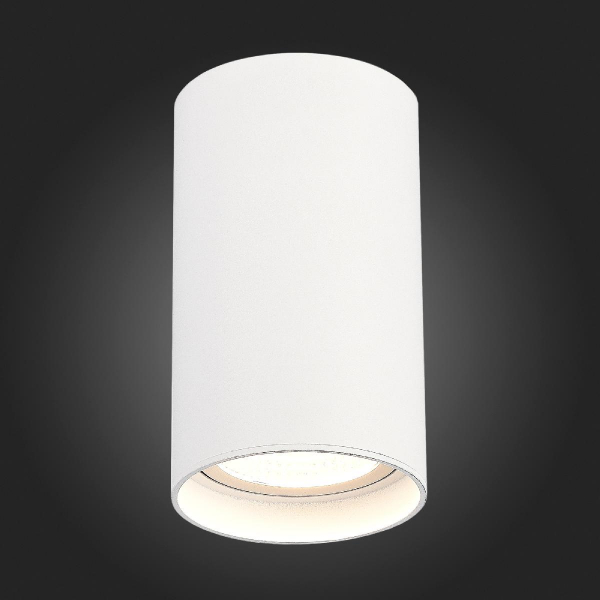 Накладной светильник ST Luce ST157.542.20