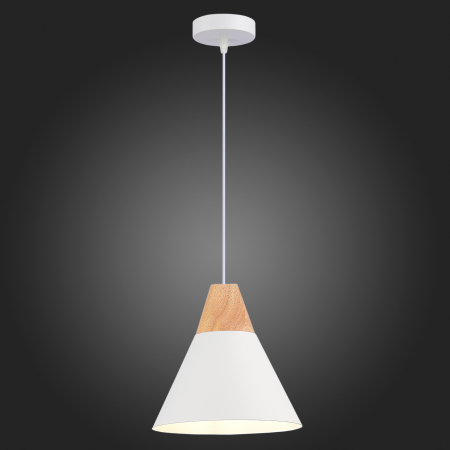 Evoluce SLE125103-01