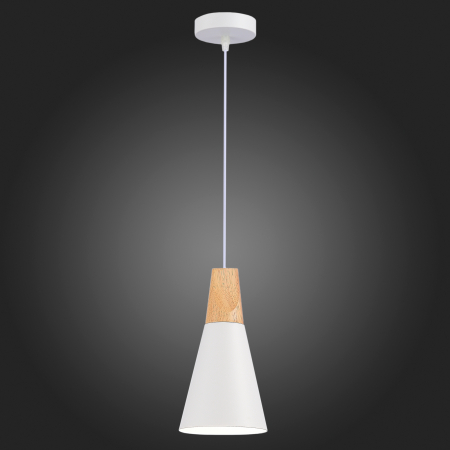 Evoluce SLE125153-01