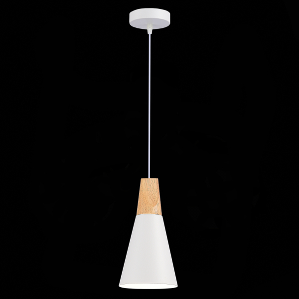 Подвесной светильник Evoluce Modica SLE125153-01