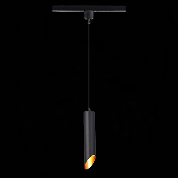 Трековый однофазный светильник ST Luce ST152.406.01