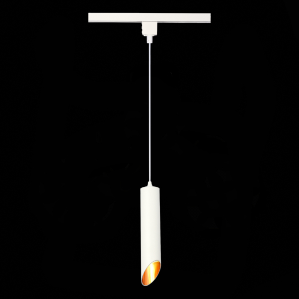 Трековый однофазный светильник ST Luce ST152.506.01