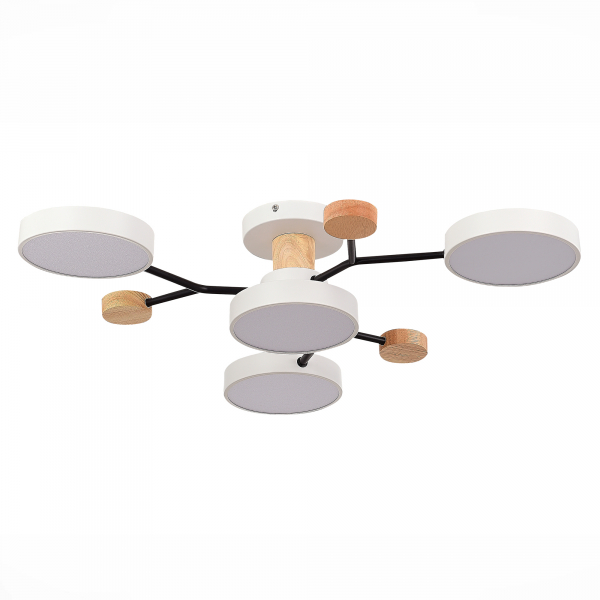 Люстра на штанге Evoluce Faema SLE6006-502-04