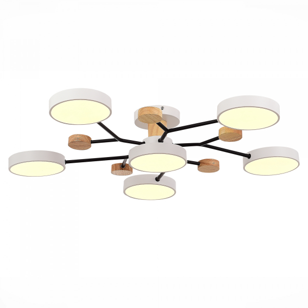 Люстра на штанге Evoluce Faema SLE6006-502-06