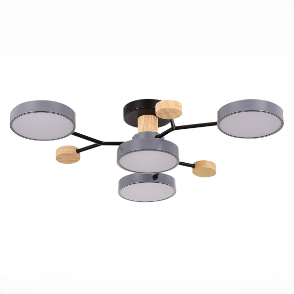 Люстра на штанге Evoluce Faema SLE6006-702-04