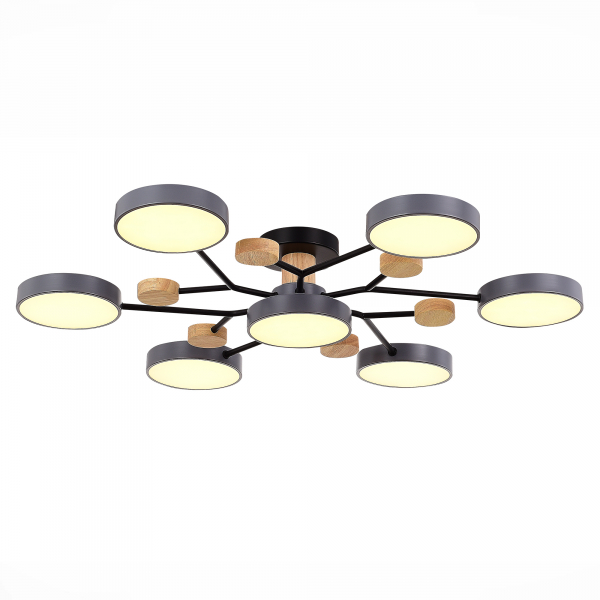 Люстра на штанге Evoluce Faema SLE6006-702-07