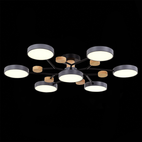 Люстра на штанге Evoluce Faema SLE6006-702-07