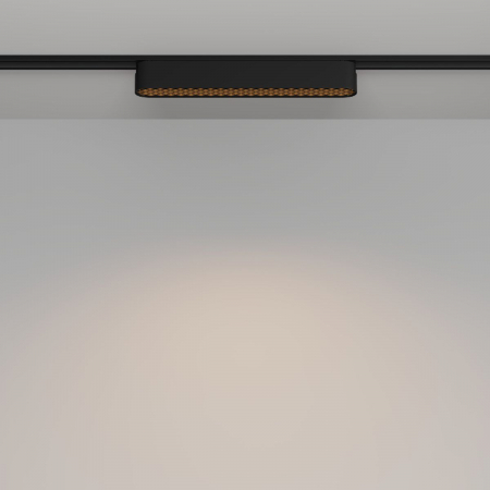 Maytoni TR084-1-12W3K-B